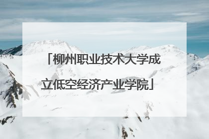 柳州职业技术大学成立低空经济产业学院