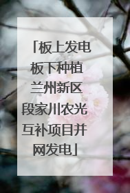 板上发电 板下种植 兰州新区段家川农光互补项目并网发电