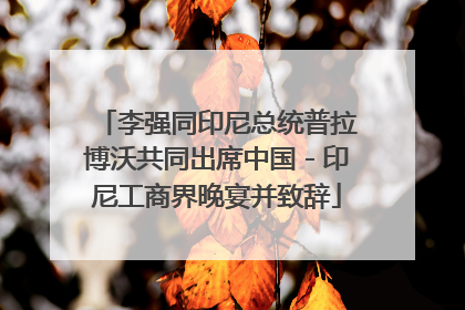 李强同印尼总统普拉博沃共同出席中国－印尼工商界晚宴并致辞