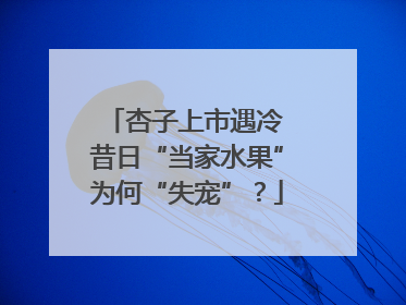 杏子上市遇冷 昔日“当家水果”为何“失宠”？