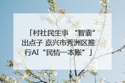 村社民生事 “智囊”出点子 嘉兴市秀洲区推行AI“民情一本账”