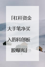 杠杆资金大手笔净买入的科创板股曝光