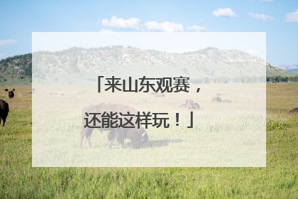来山东观赛，还能这样玩！