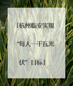 杭州临安实现“每人一千瓦光伏”目标