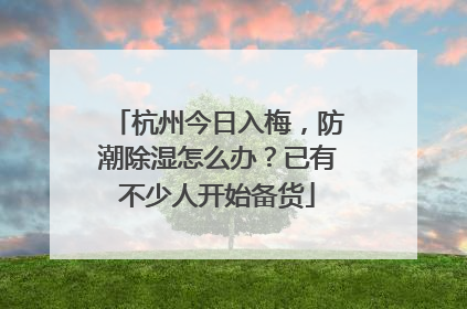 杭州今日入梅，防潮除湿怎么办？已有不少人开始备货