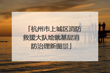 杭州市上城区消防救援大队绘就基层消防治理新图景