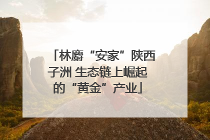 林麝“安家”陕西子洲 生态链上崛起的“黄金”产业