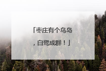 枣庄有个鸟岛，白鹭成群！