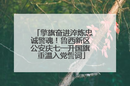 擎旗奋进淬炼忠诚警魂！鲁西新区公安庆七一升国旗 重温入党誓词