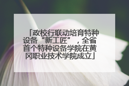 政校行联动培育特种设备“新工匠”，全省首个特种设备学院在黄冈职业技术学院成立
