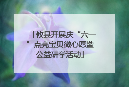 攸县开展庆“六一”点亮宝贝微心愿暨公益研学活动