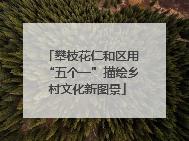 攀枝花仁和区用“五个一”描绘乡村文化新图景