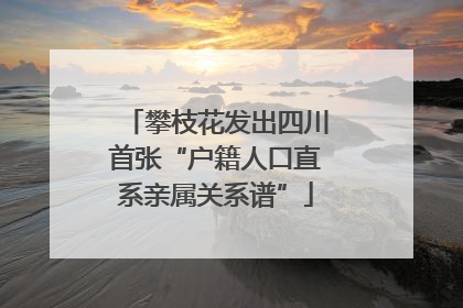 攀枝花发出四川首张“户籍人口直系亲属关系谱”