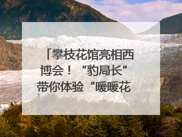 攀枝花馆亮相西博会！“豹局长”带你体验“暖暖花城”独特魅力｜西博视界