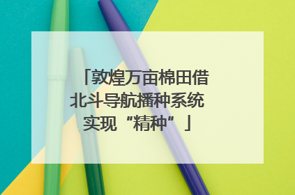 敦煌万亩棉田借北斗导航播种系统实现“精种”