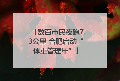 数百市民夜跑7.3公里 合肥启动“体重管理年”