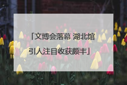 文博会落幕 湖北馆引人注目收获颇丰