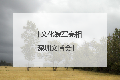 文化皖军亮相深圳文博会