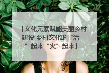文化元素赋能美丽乡村建设 乡村文化IP“活”起来“火”起来