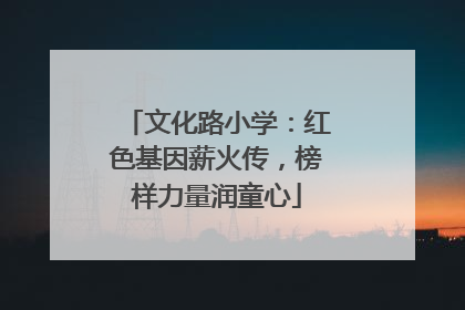 文化路小学：红色基因薪火传，榜样力量润童心