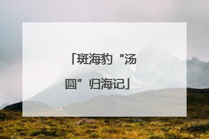 斑海豹“汤圆”归海记