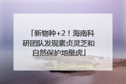 新物种+2！海南科研团队发现素贞灵芝和自然保护地壁虎