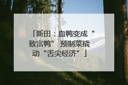 新田：血鸭变成“致富鸭” 预制菜撬动“舌尖经济”
