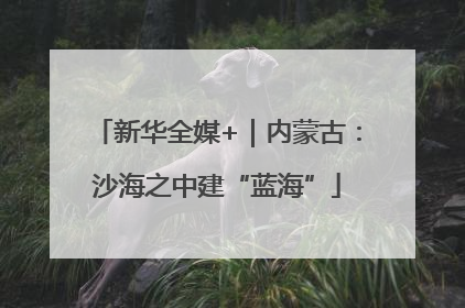 新华全媒+｜内蒙古：沙海之中建“蓝海”