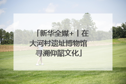 新华全媒+丨在大河村遗址博物馆寻溯仰韶文化