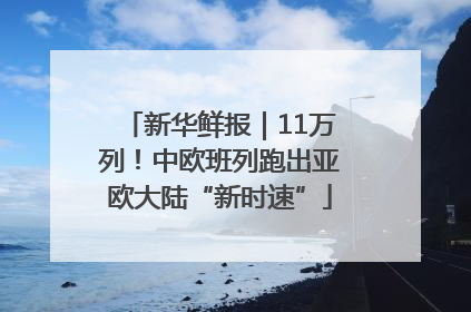 新华鲜报｜11万列！中欧班列跑出亚欧大陆“新时速”