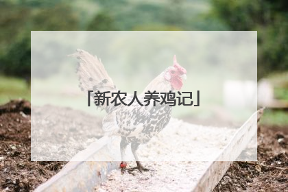 新农人养鸡记