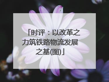 时评：以改革之力筑铁路物流发展之基(图)