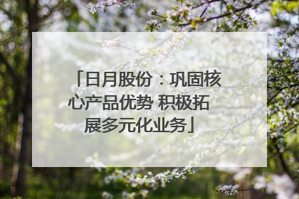 日月股份：巩固核心产品优势 积极拓展多元化业务