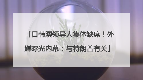 日韩澳领导人集体缺席！外媒曝光内幕：与特朗普有关