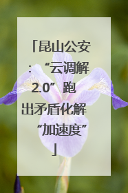 昆山公安：“云调解2.0”跑出矛盾化解“加速度”