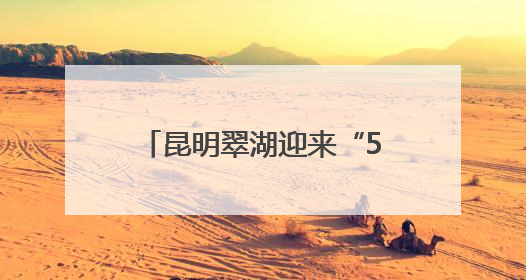 昆明翠湖迎来“5.31公里无烟迷你马拉松”活动