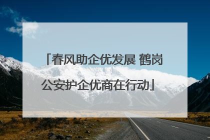 春风助企优发展 鹤岗公安护企优商在行动