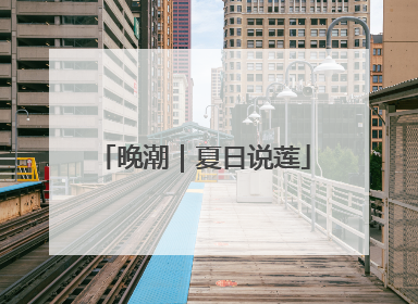 晚潮｜夏日说莲