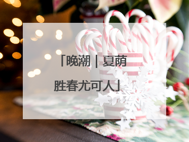 晚潮｜夏荫胜春尤可人