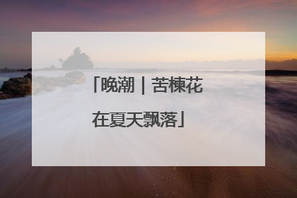 晚潮｜苦楝花在夏天飘落