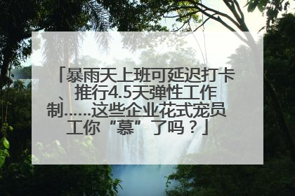 暴雨天上班可延迟打卡、推行4.5天弹性工作制……这些企业花式宠员工你“慕”了吗？