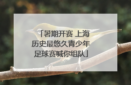 暑期开赛 上海历史最悠久青少年足球赛喊你组队