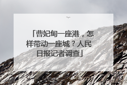 曹妃甸一座港，怎样带动一座城？人民日报记者调查