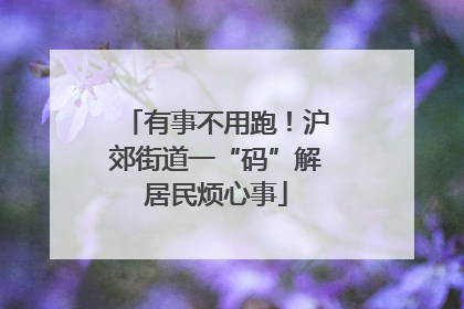 有事不用跑！沪郊街道一“码”解居民烦心事