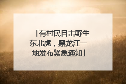 有村民目击野生东北虎，黑龙江一地发布紧急通知
