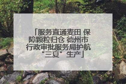 服务直通麦田 保障颗粒归仓 德州市行政审批服务局护航“三夏”生产