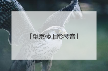 望京楼上聆琴音