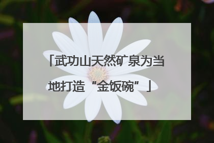 武功山天然矿泉为当地打造“金饭碗”