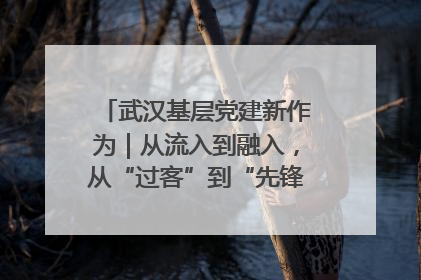 武汉基层党建新作为｜从流入到融入，从“过客”到“先锋” 武汉为流动党员筑起温暖之家