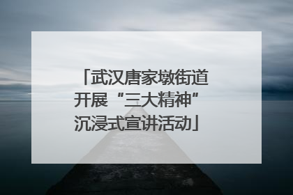 武汉唐家墩街道开展“三大精神”沉浸式宣讲活动